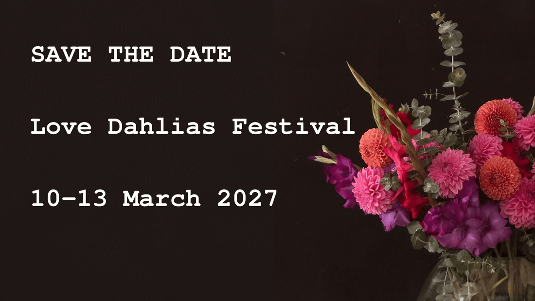 Love Dahlias Festival 2026 Recap: A Week of Flowers, Friendship and Floral Magic in Douglas - Love Dahlias