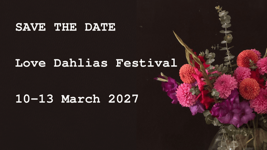 Love Dahlias Festival 2026 Recap: A Week of Flowers, Friendship and Floral Magic in Douglas - Love Dahlias