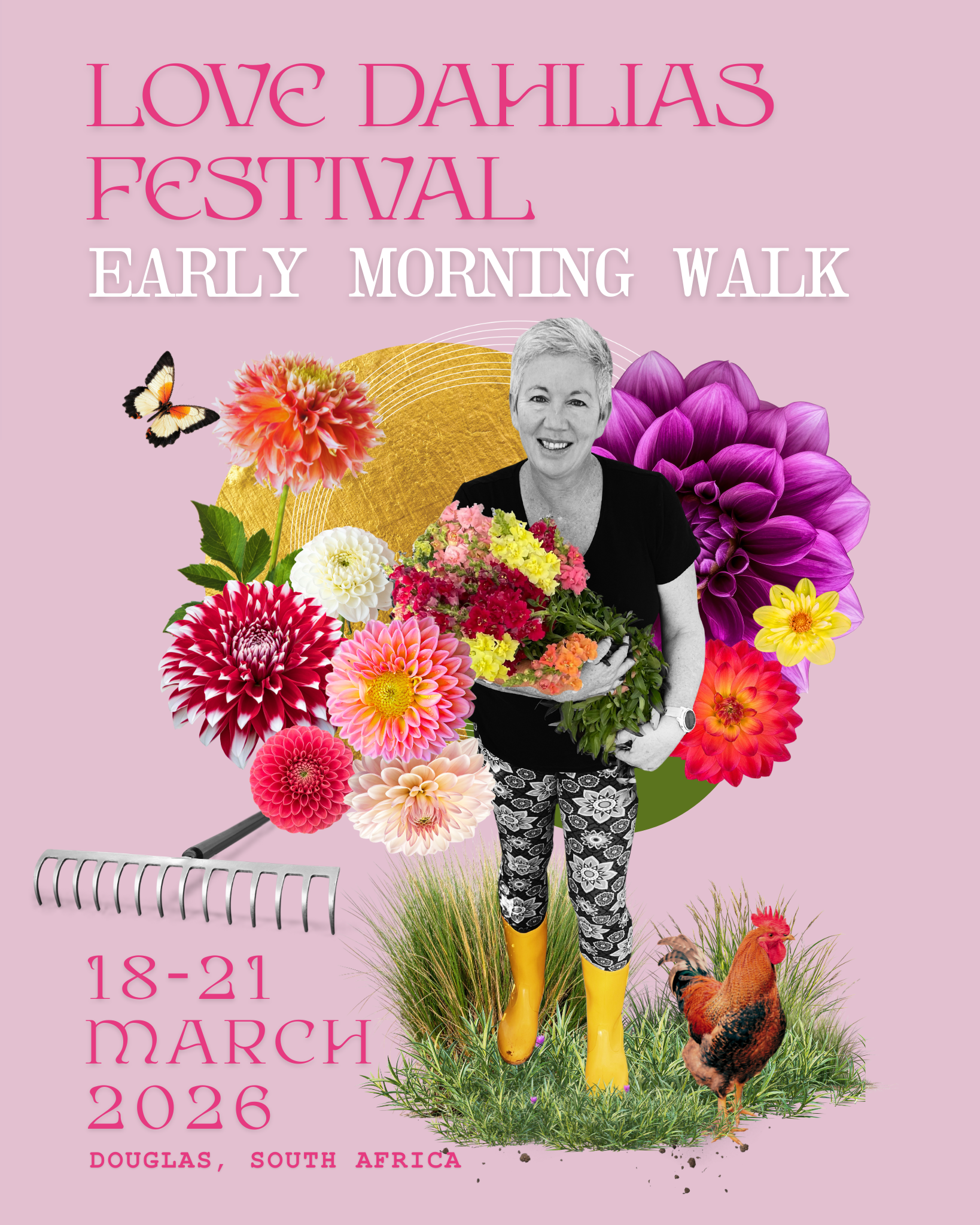 Early Morning Dahlia Walk - Mareli from Love Dahlias - Love Dahlias - south - africa - flower - bulbs