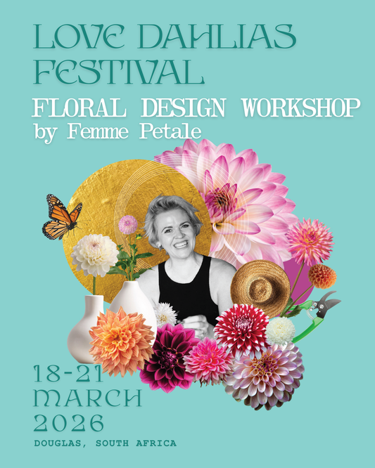 Field to Vase: Designing with Dahlias – Femme Petale Workshop - Love Dahlias - south - africa - flower - bulbs