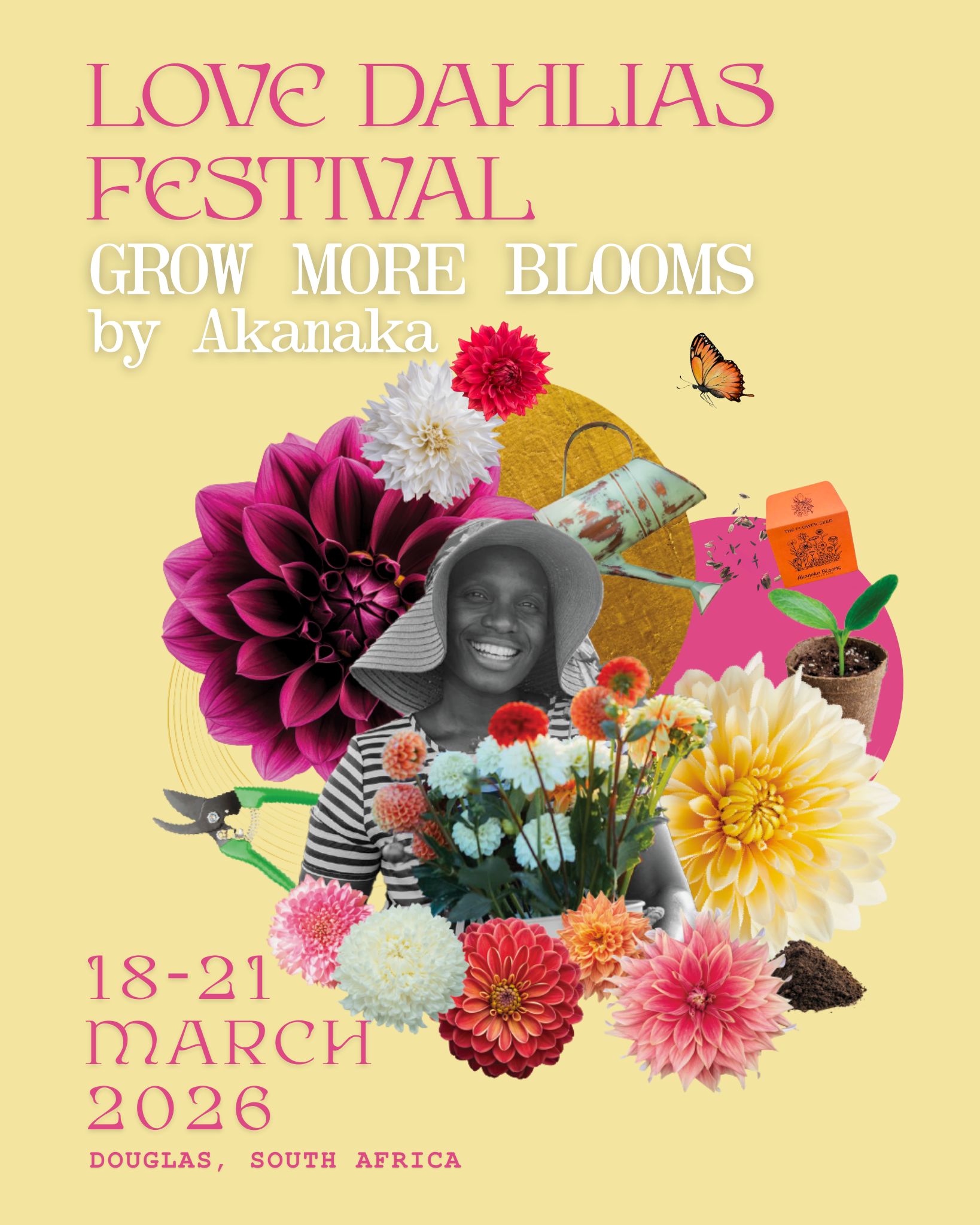 Grow More Blooms – Seed Starting and Cuttings with Akanaka Blooms - Love Dahlias - south - africa - flower - bulbs