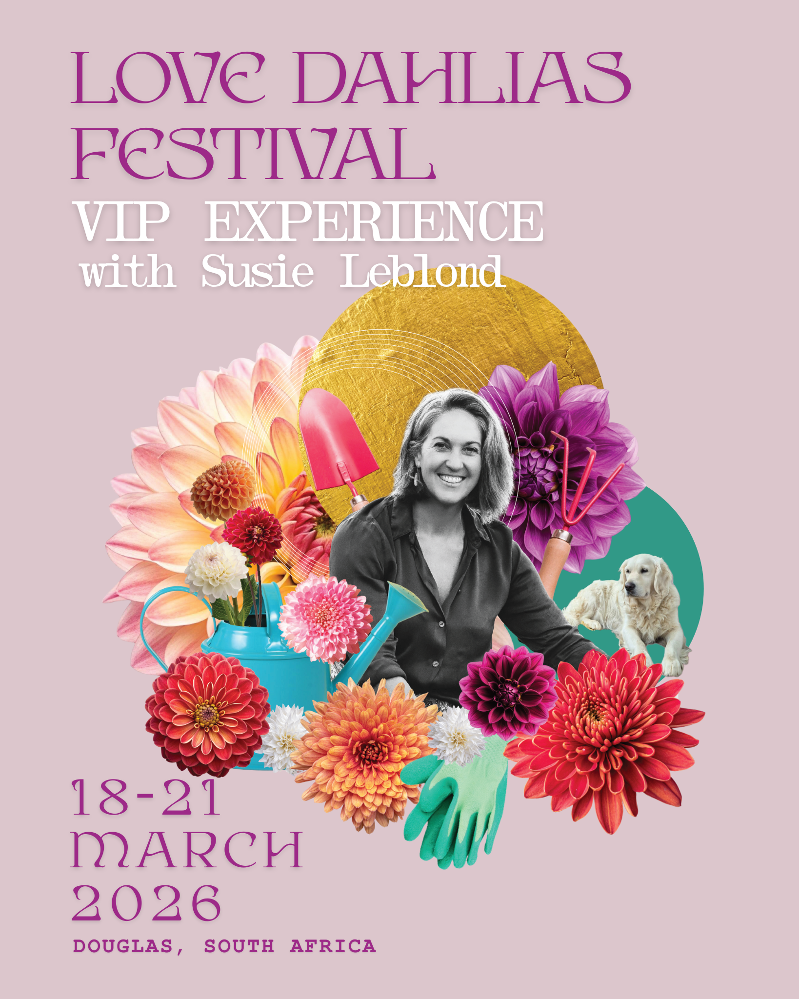 VIP Experience with Susie Leblond - Love Dahlias - south - africa - flower - bulbs